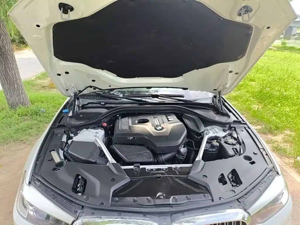 BMW 5 Series 2019 530Li Leading Luxury Package купить на сайте DeffCars