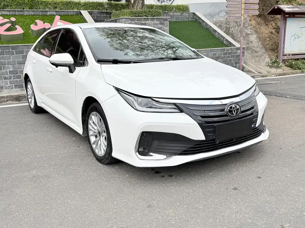 Asia Lion 2023 2.0L Pioneer Edition купить на сайте DeffCars