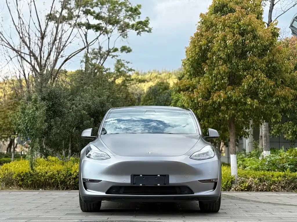 Model Y 2021 standard range rear-wheel drive version купить на сайте DeffCars