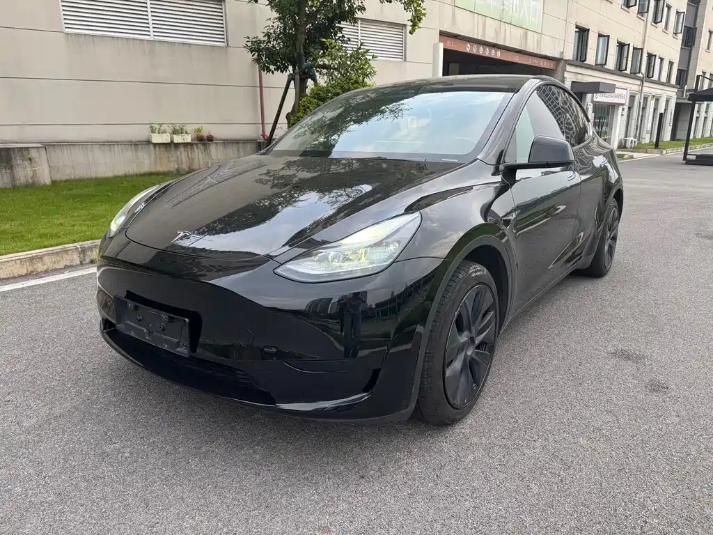 Model Y 2024 rear-wheel drive version купить на сайте DeffCars