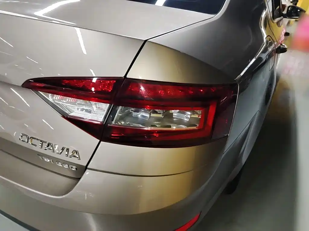 Octavia 2019 TSI230 DSGSenova Zhixing Deluxe Edition National VI купить на сайте DeffCars