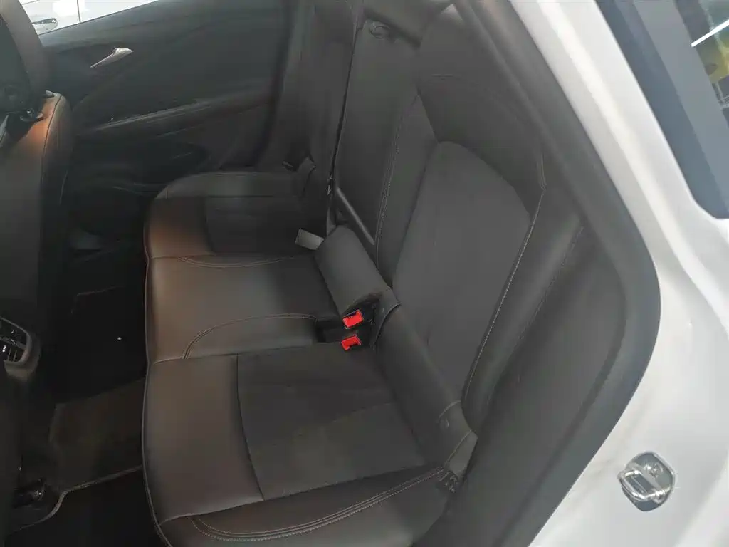 Weilang 2020 GS 20T CVT luxury model купить на сайте DeffCars