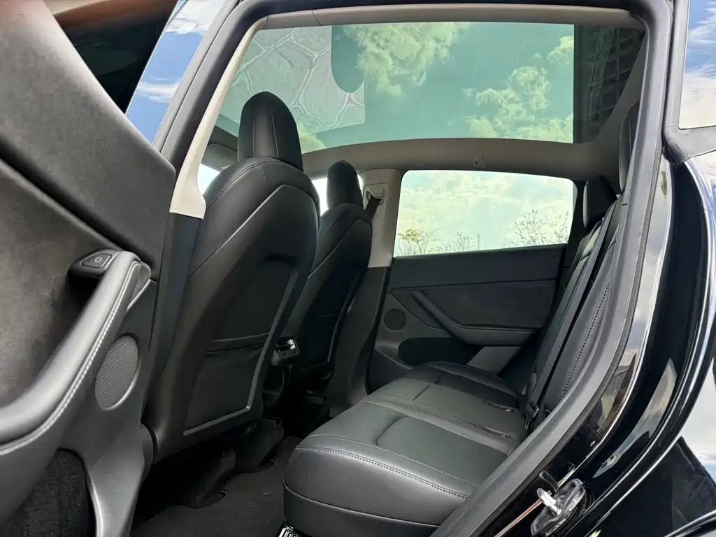 Model Y 2021 standard range rear-wheel drive version купить на сайте DeffCars