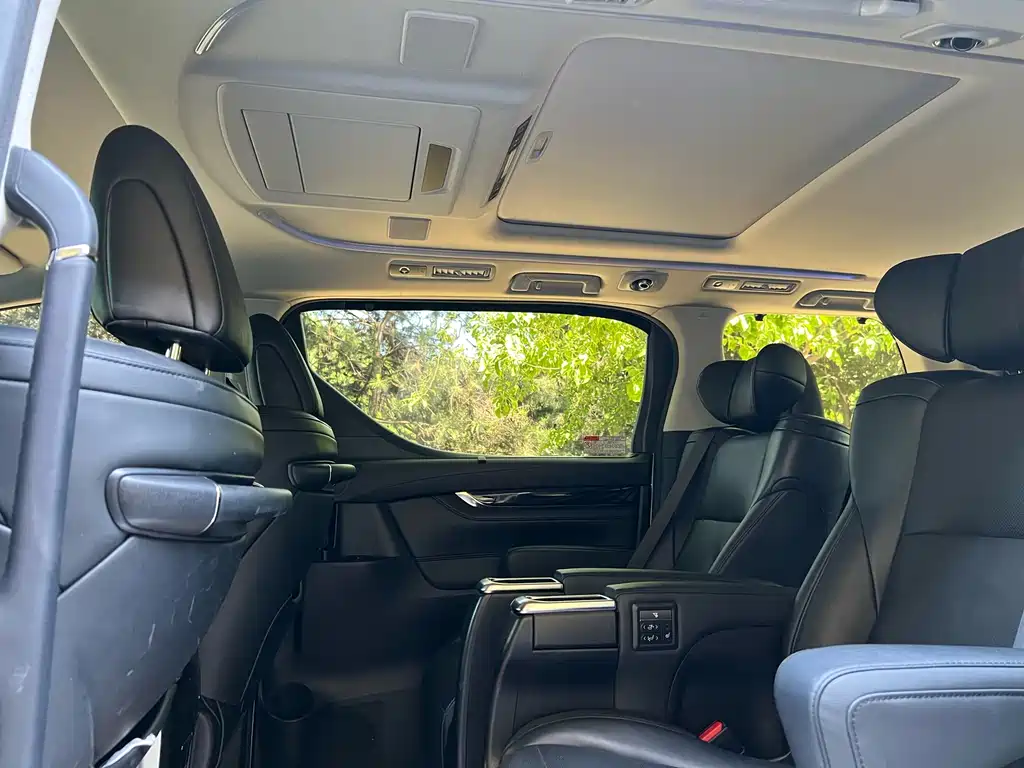 Wilfa 2019 Shuangqing 2.5L HV Deluxe Edition купить на сайте DeffCars