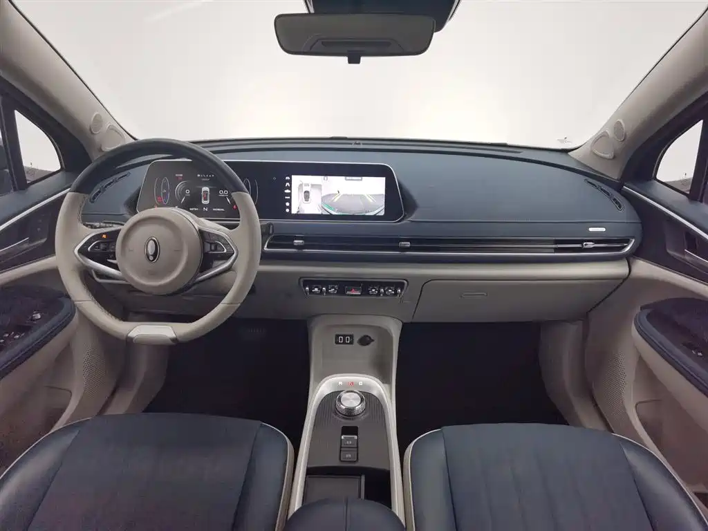 Euler Good Cat 2022 Morandi Edition 400km standard battery life luxury model ternary lithium купить на сайте DeffCars