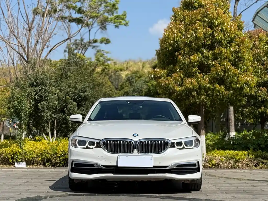 BMW 5 Series 2019 530Li Leading Luxury Package купить на сайте DeffCars