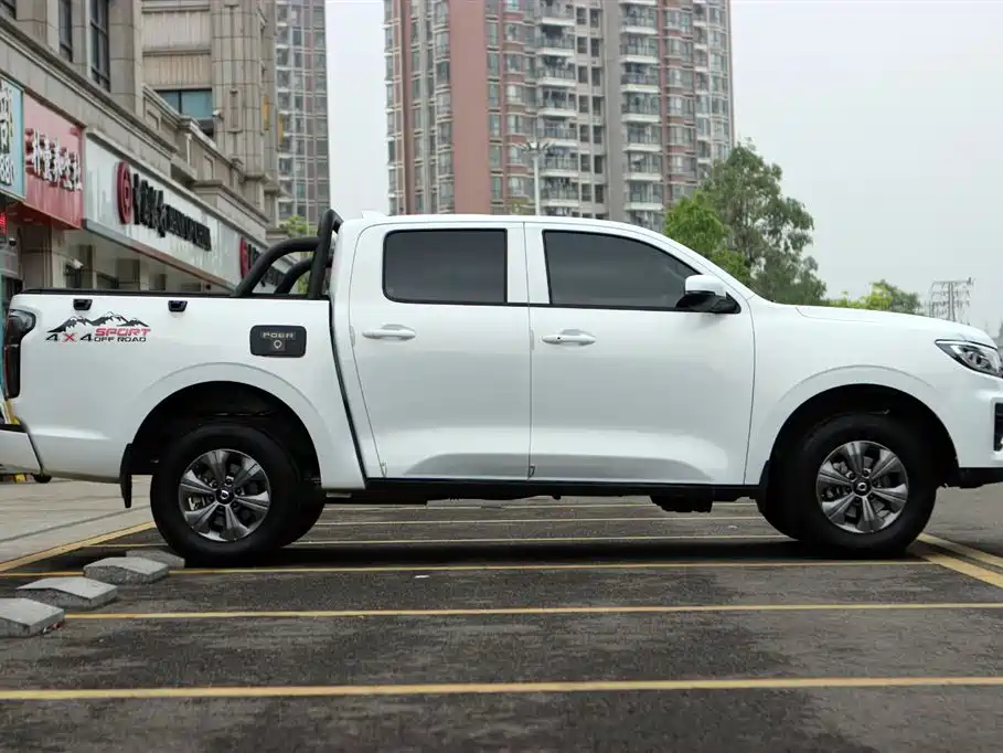 Cannon 2023 2.0T commercial version automatic gasoline four-wheel drive elite standard box GW4C20B купить на сайте DeffCars