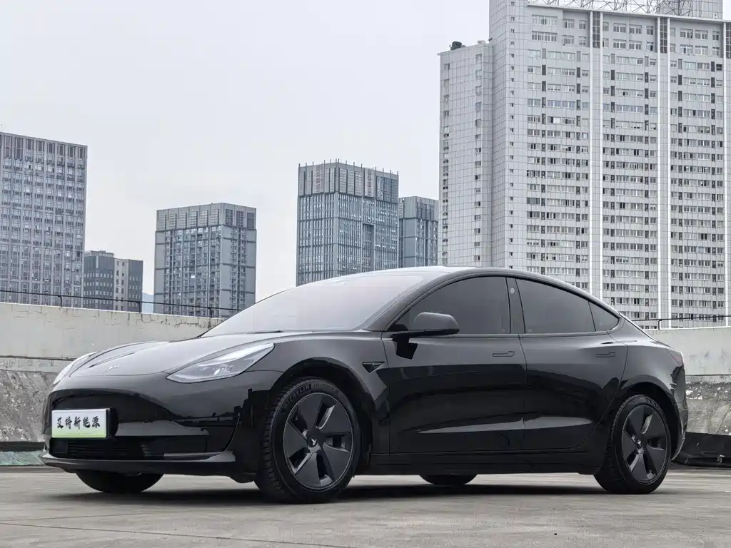 Model 3 2022 rear-wheel drive version купить на сайте DeffCars