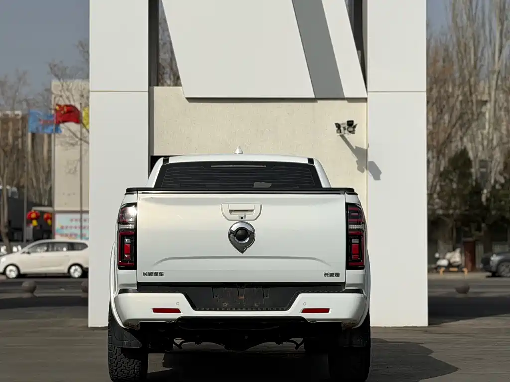 Cannon 2021 2.0T passenger global version automatic diesel four-wheel drive comfort standard box GW4D20M купить на сайте DeffCars