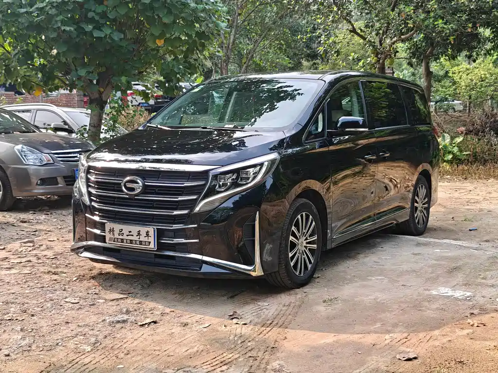 Trumpchi M8 2023 Lead Show Series 390T Exclusive Edition купить на сайте DeffCars