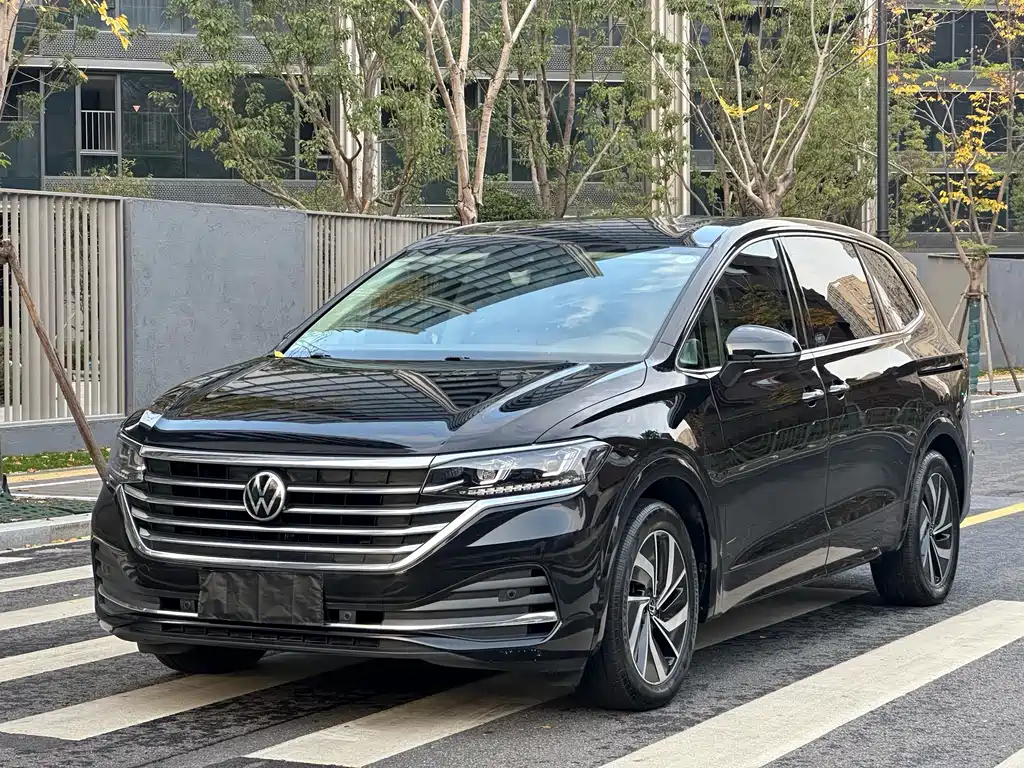 Weiran 2024 330TSI Deluxe Edition купить на сайте DeffCars