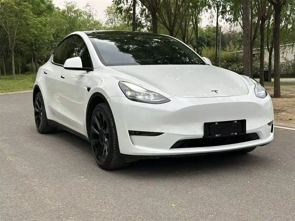 Model Y 2021 long-range all-wheel drive version купить на сайте DeffCars