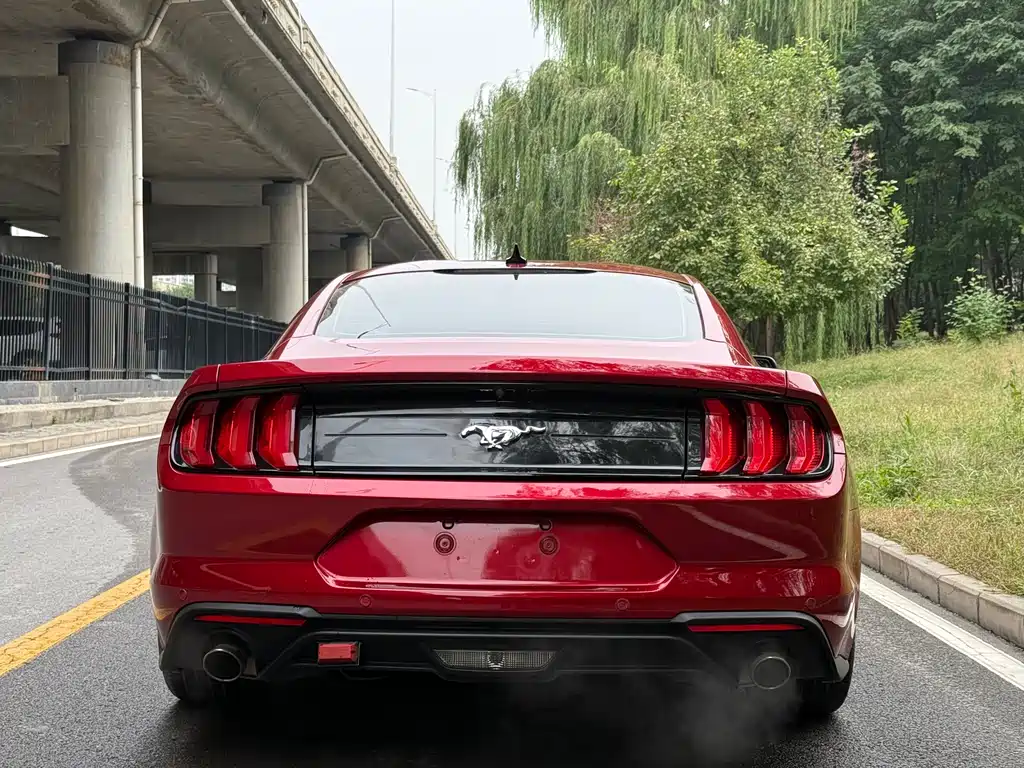 Mustang 2021 2.3T EcoBoost купить на сайте DeffCars