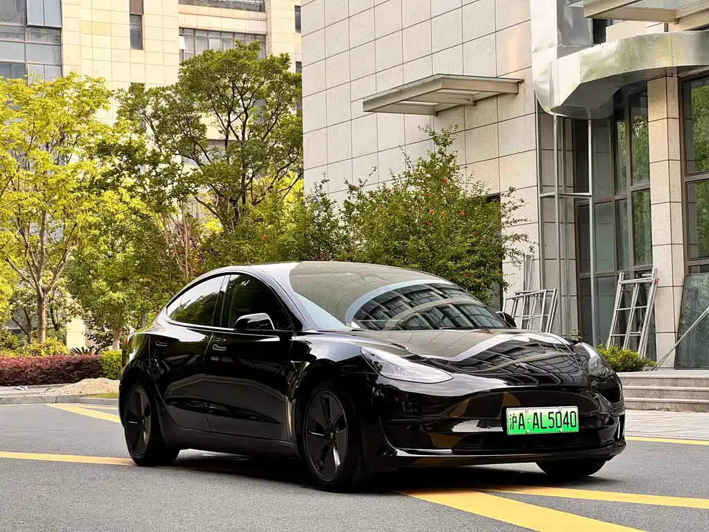 Model 3 2022 rear-wheel drive version купить на сайте DeffCars