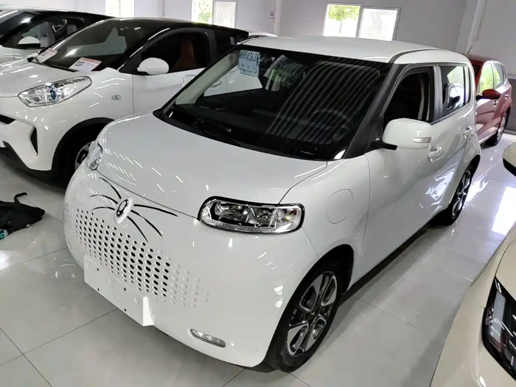 ORA White Cat 2022 upgraded version 305km luxury model Sanyuan lithium купить на сайте DeffCars