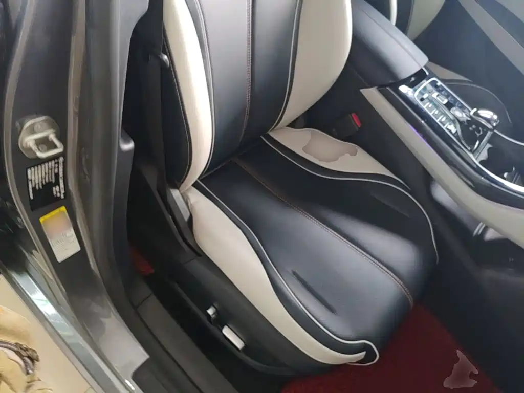 Qin PLUS 2023 Champion Edition EV 510KM Excellent Type купить на сайте DeffCars