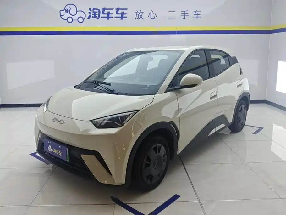 Seagull 2025 305km active version купить на сайте DeffCars