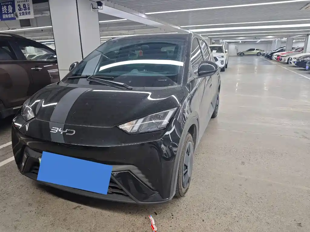 Seagull 2025 305km active version купить на сайте DeffCars