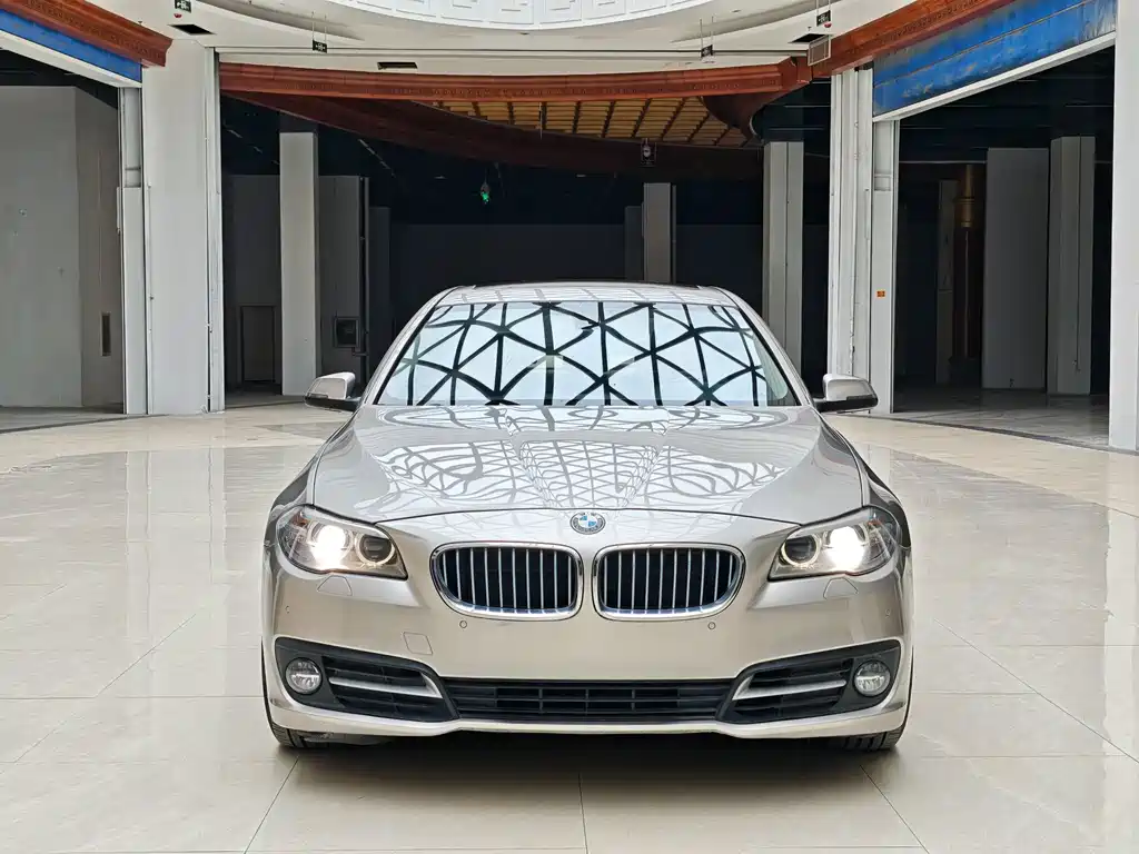 BMW 5 Series 2013 525Li leading model купить на сайте DeffCars
