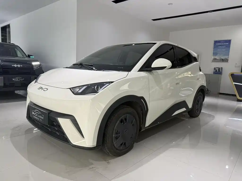 Seagull 2025 305km active version купить на сайте DeffCars