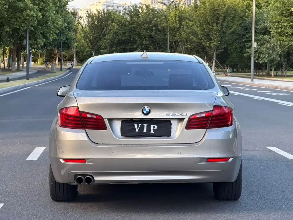 BMW 5 Series 2017 520Li Elegant купить на сайте DeffCars
