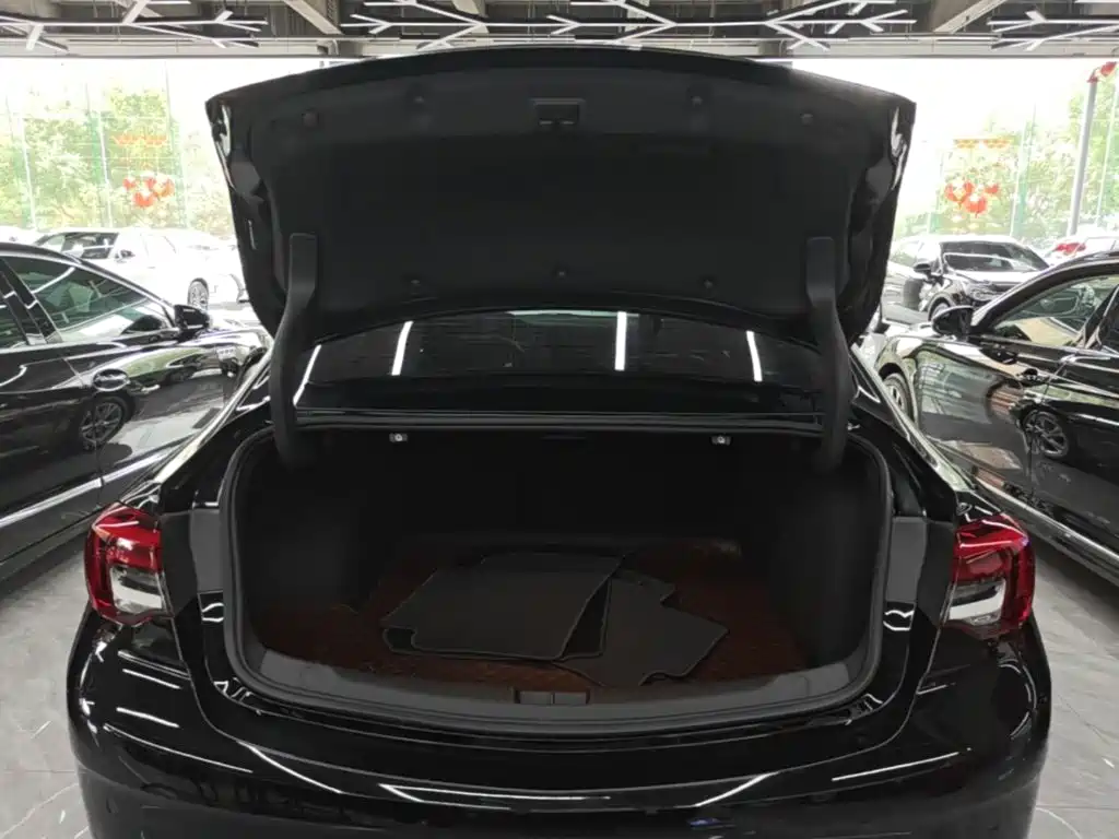 Regal 2024 Modified 25t Premium Edition купить на сайте DeffCars