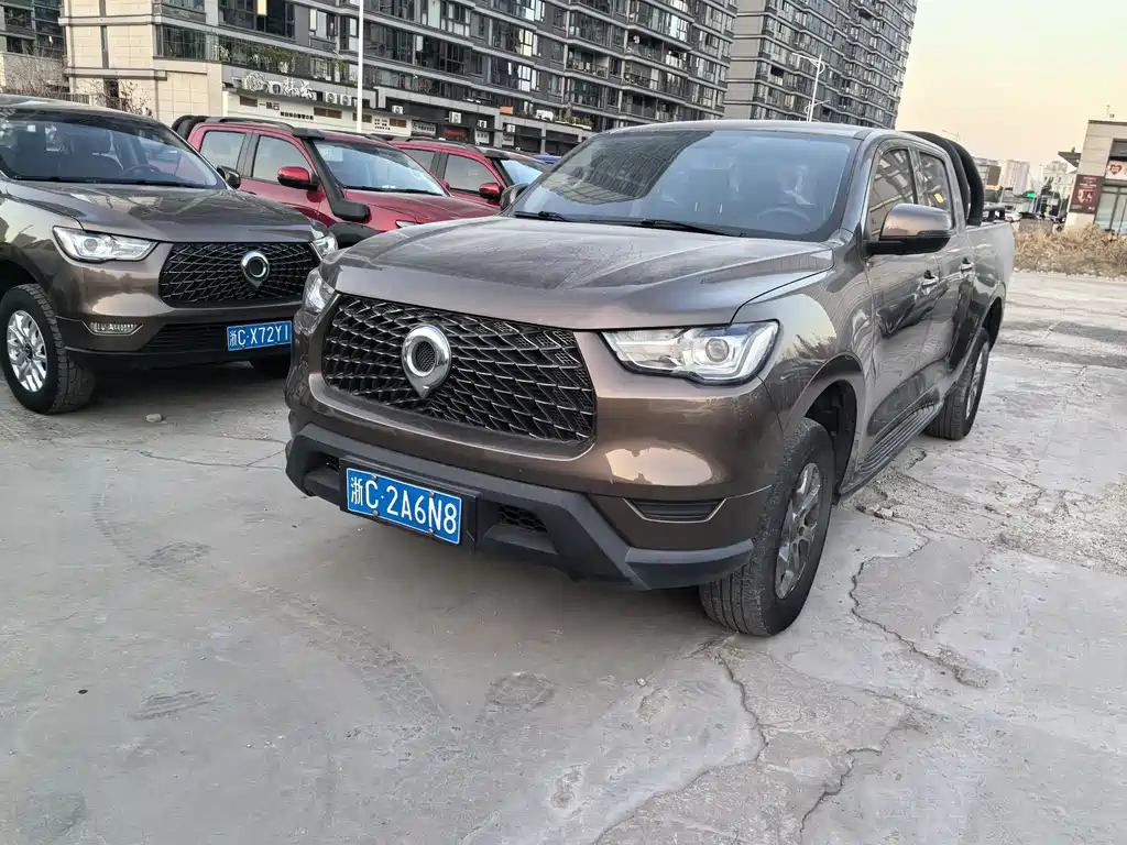 Cannon 2021 2.0T commercial version automatic diesel two-wheel drive elite long box GW4D20M купить на сайте DeffCars