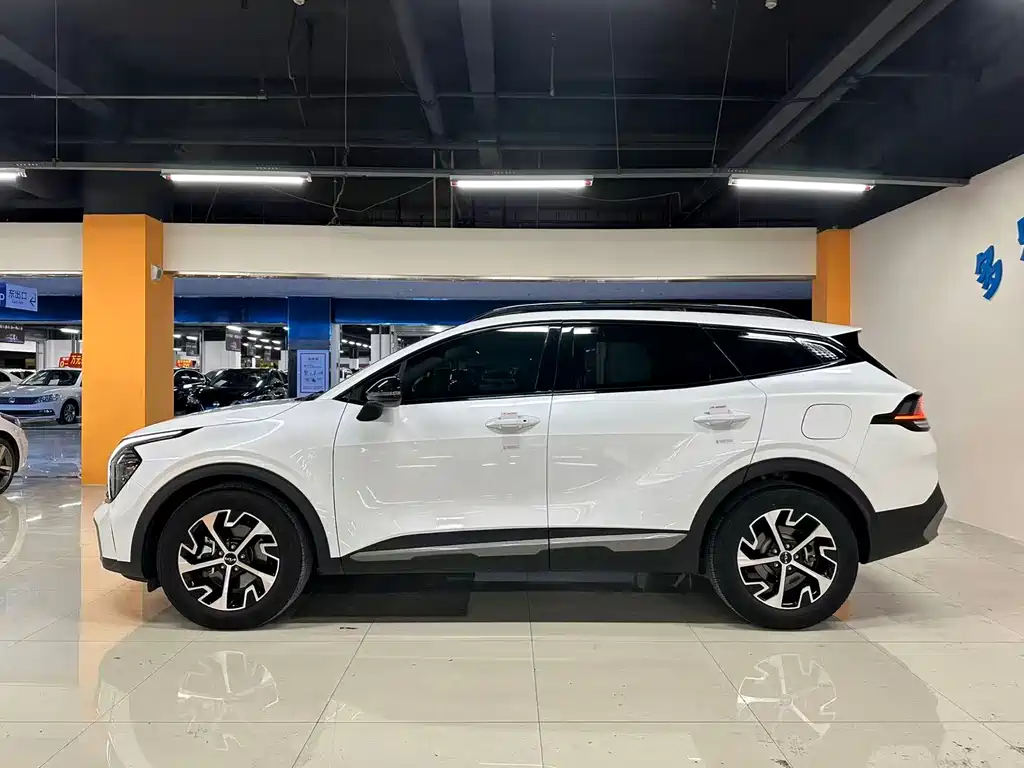 Lion Expands the Boundary 2023 2.0L HEV Two-wheel Drive Premium Edition купить на сайте DeffCars