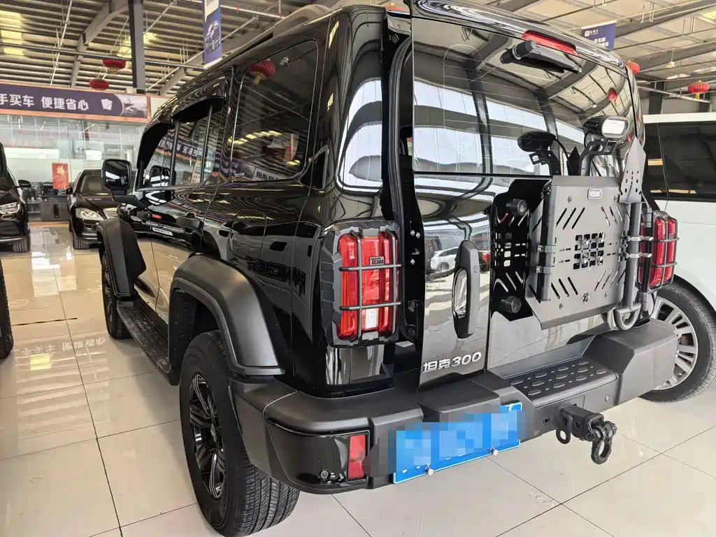 Tank 300 2023 Off-Road Version 2.0T Conqueror купить на сайте DeffCars