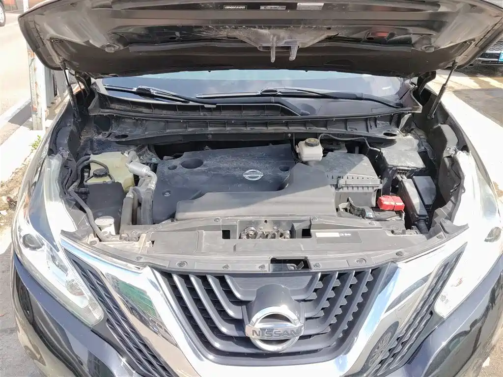 Loulan 2019 2.5L XE 2WD Elite Edition National VI купить на сайте DeffCars