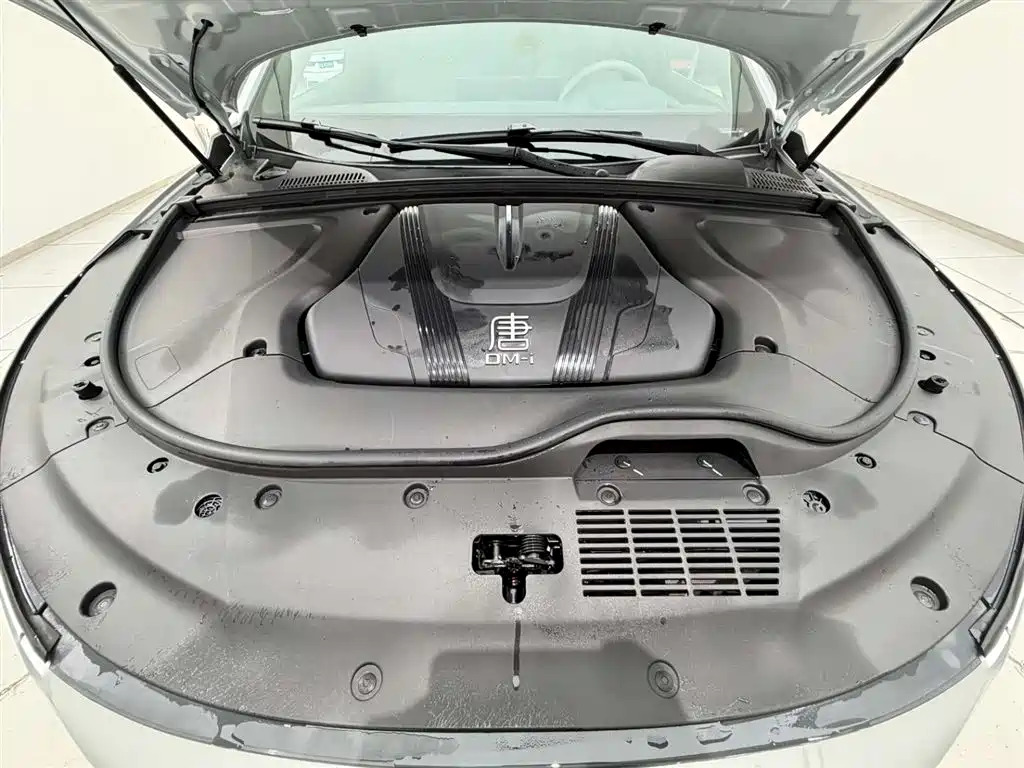 Tangxin Energy 2025 smart driving version DM-i 115KM flagship model купить на сайте DeffCars
