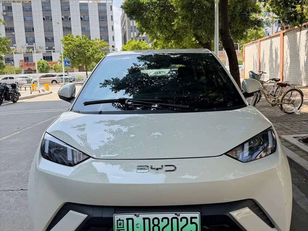Seagull 2024 Honor Edition 305km Free купить на сайте DeffCars