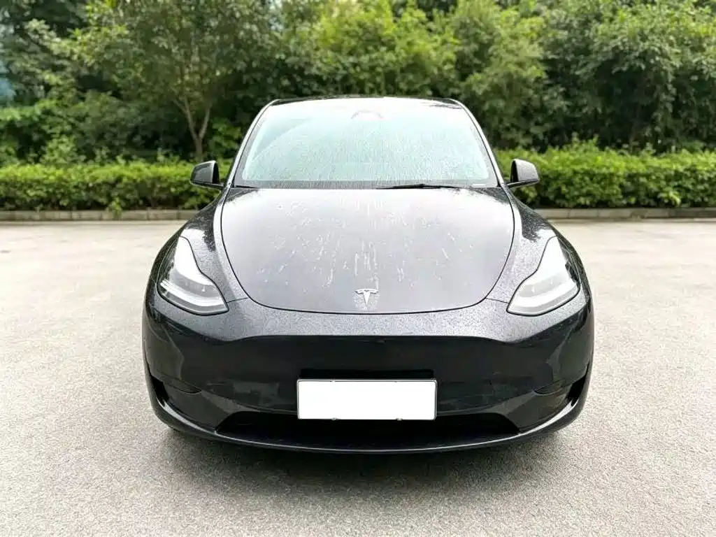 Model Y 2024 rear-wheel drive version купить на сайте DeffCars