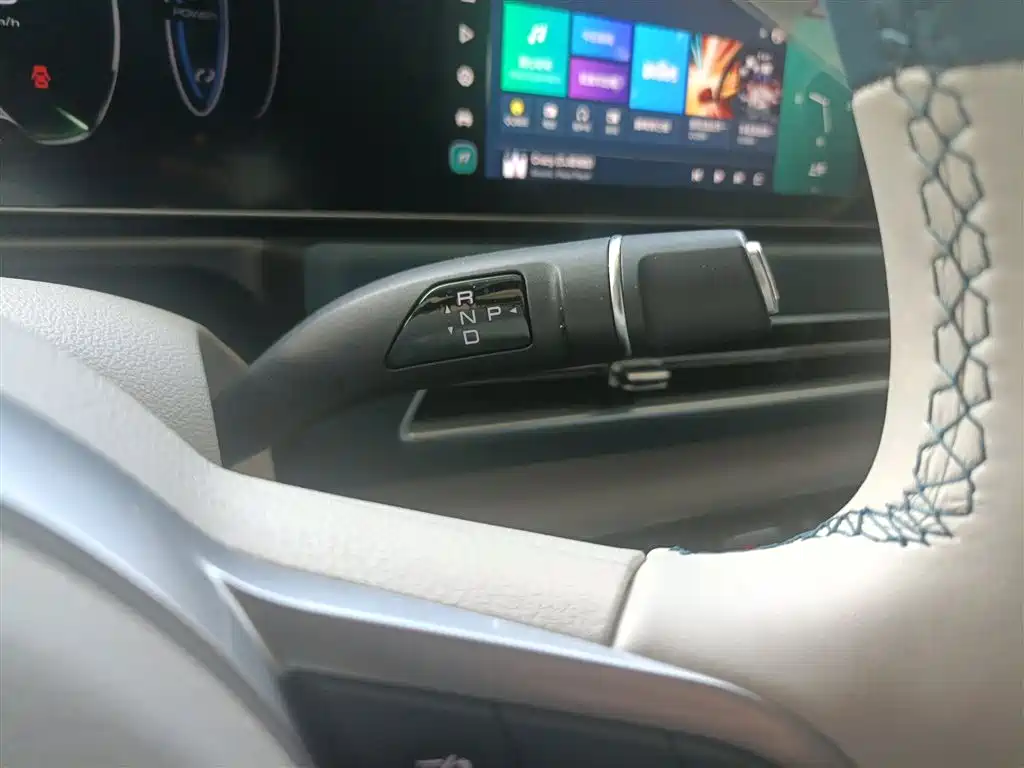 Euler Good Cat 2023 model 401km standard battery life luxury model lithium iron phosphate купить на сайте DeffCars