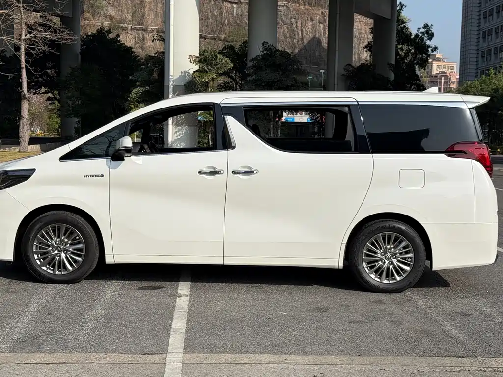 Alfa 2021 Shuangqing 2.5L Premium Edition купить на сайте DeffCars