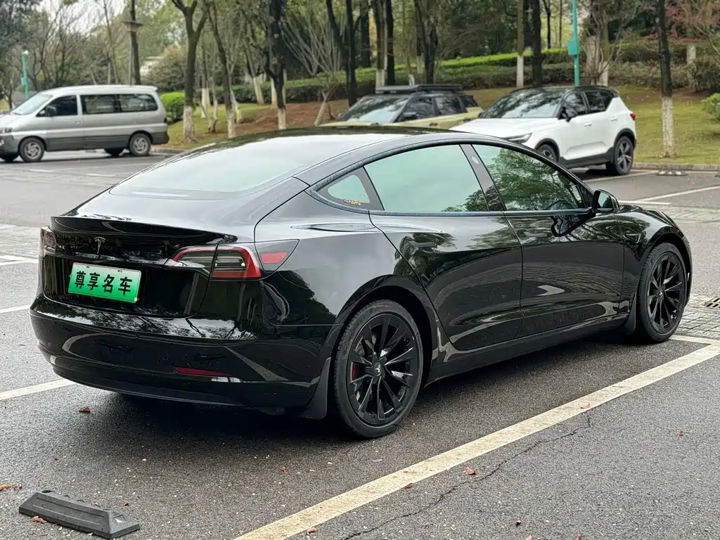 Model 3 2022 rear-wheel drive version купить на сайте DeffCars