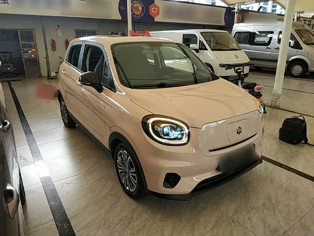 Leapmoo T03 2021 400 Comfort Edition купить на сайте DeffCars