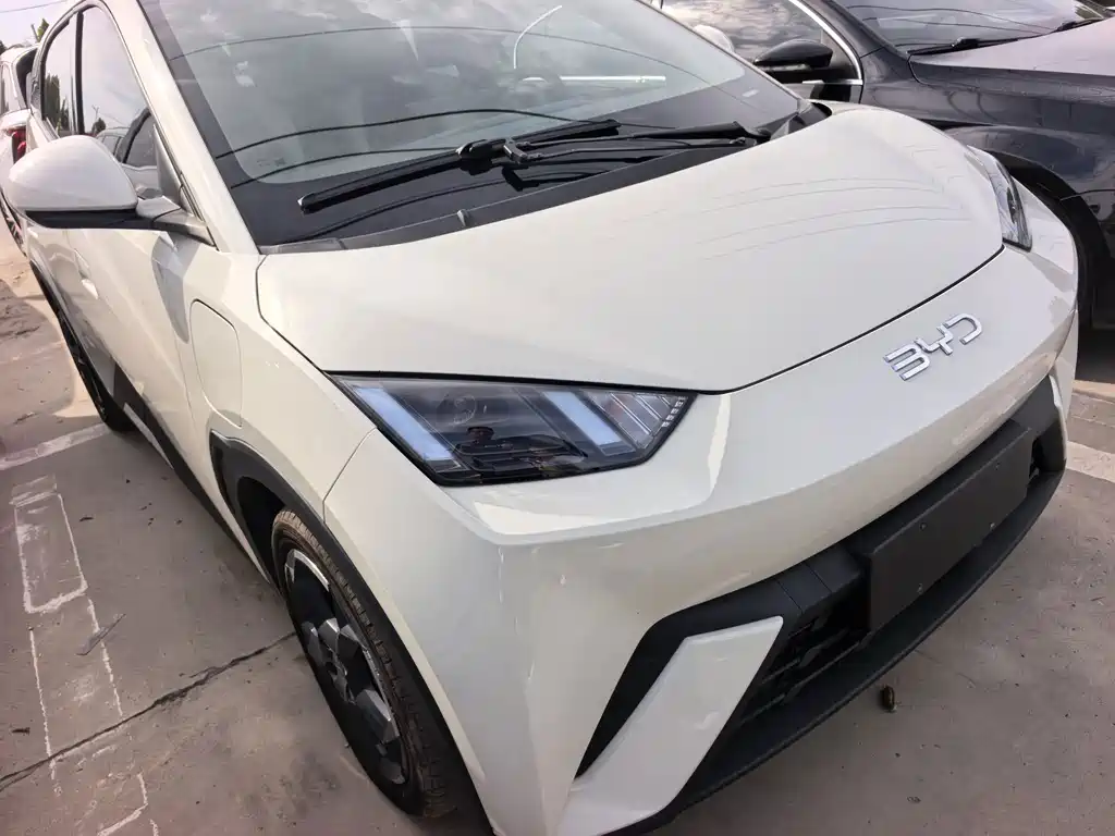 Seagull 2023 Flying Edition купить на сайте DeffCars