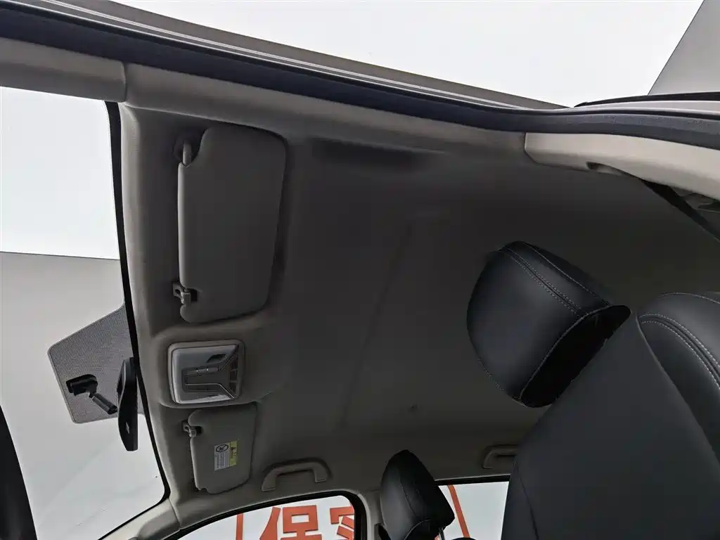 Cannon 2019 2.0T commercial version manual diesel two-wheel drive elite long box GW4D20M купить на сайте DeffCars