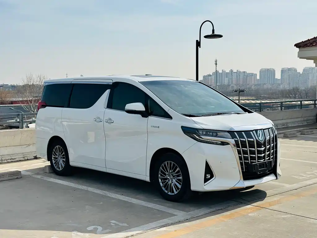 Alfa 2021 Shuangqing 2.5L Premium Edition купить на сайте DeffCars