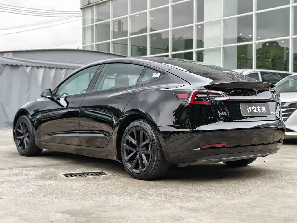 Model 3 2022 rear-wheel drive купить на сайте DeffCars