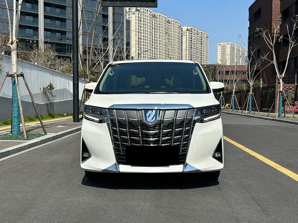 Alfa 2021 Shuangqing 2.5L Premium Edition купить на сайте DeffCars