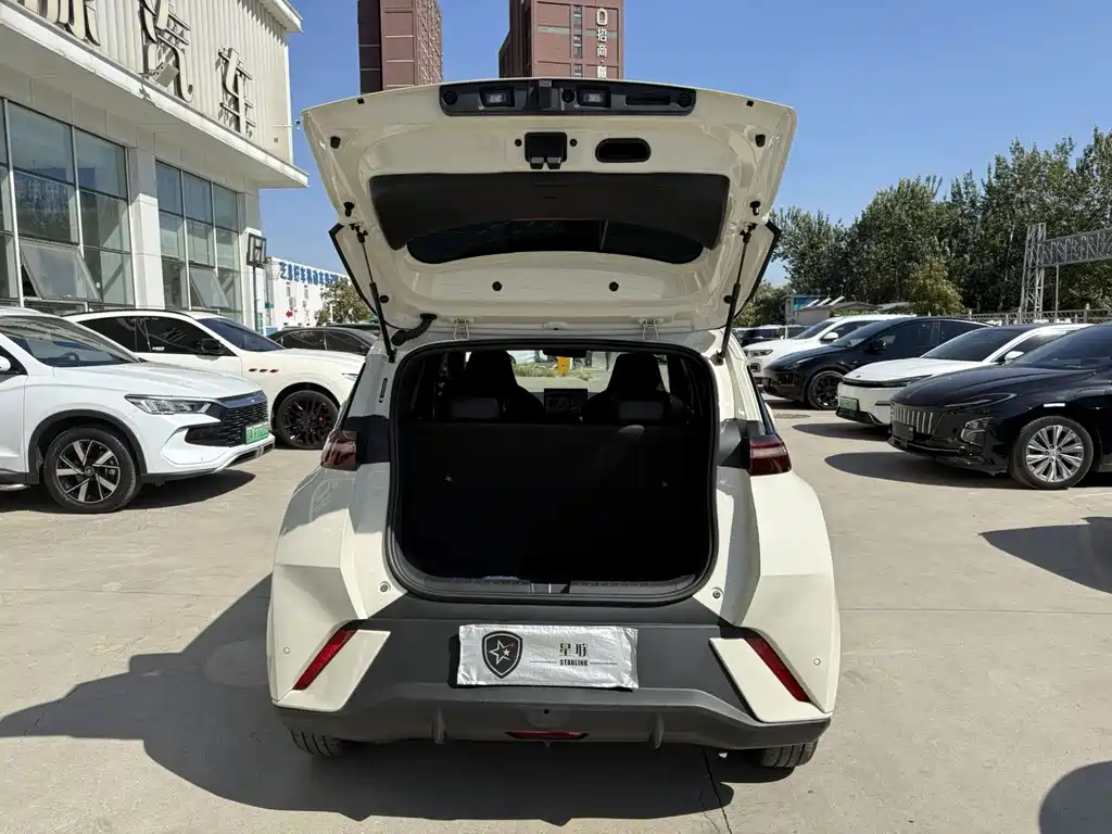 Seagull 2024 Honor Edition 305km Free Edition купить на сайте DeffCars