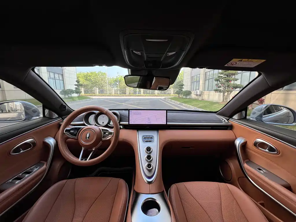 Euler Lightning Cat 2022 555km Premium Edition купить на сайте DeffCars