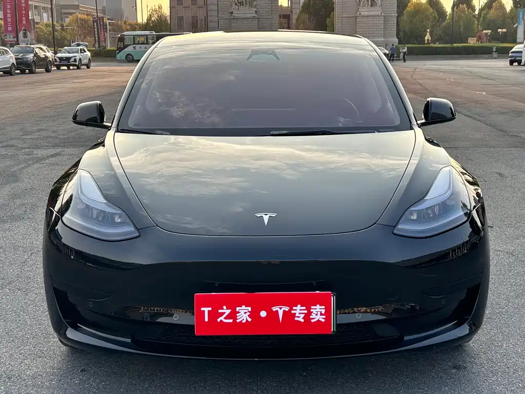 Model 3 2022 rear-wheel drive version купить на сайте DeffCars