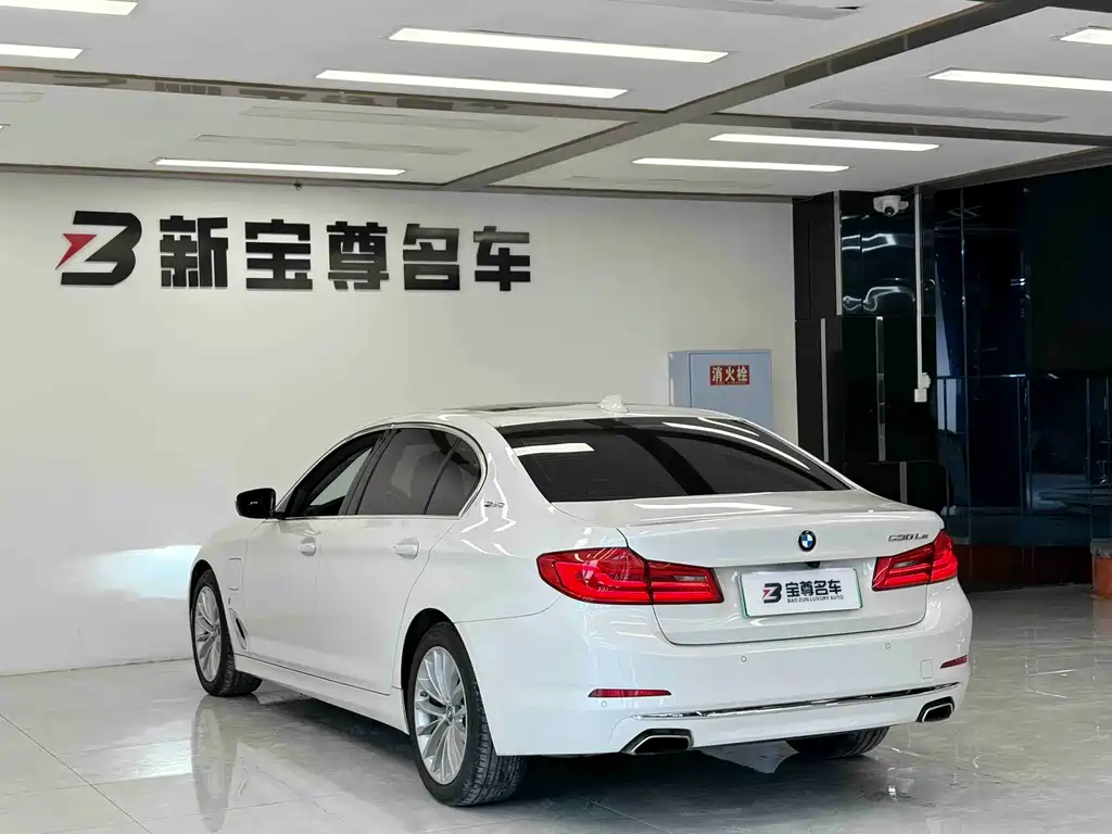 BMW 5 Series New Energy 2019 Model 530Le Luxury Package купить на сайте DeffCars