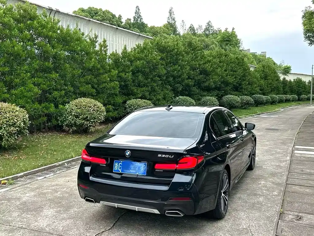 BMW 5 Series 2021 530Li Leading Luxury Package купить на сайте DeffCars