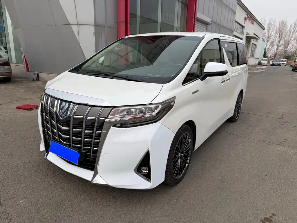 Alfa 2020 Shuangqing 2.5L Premium Edition купить на сайте DeffCars