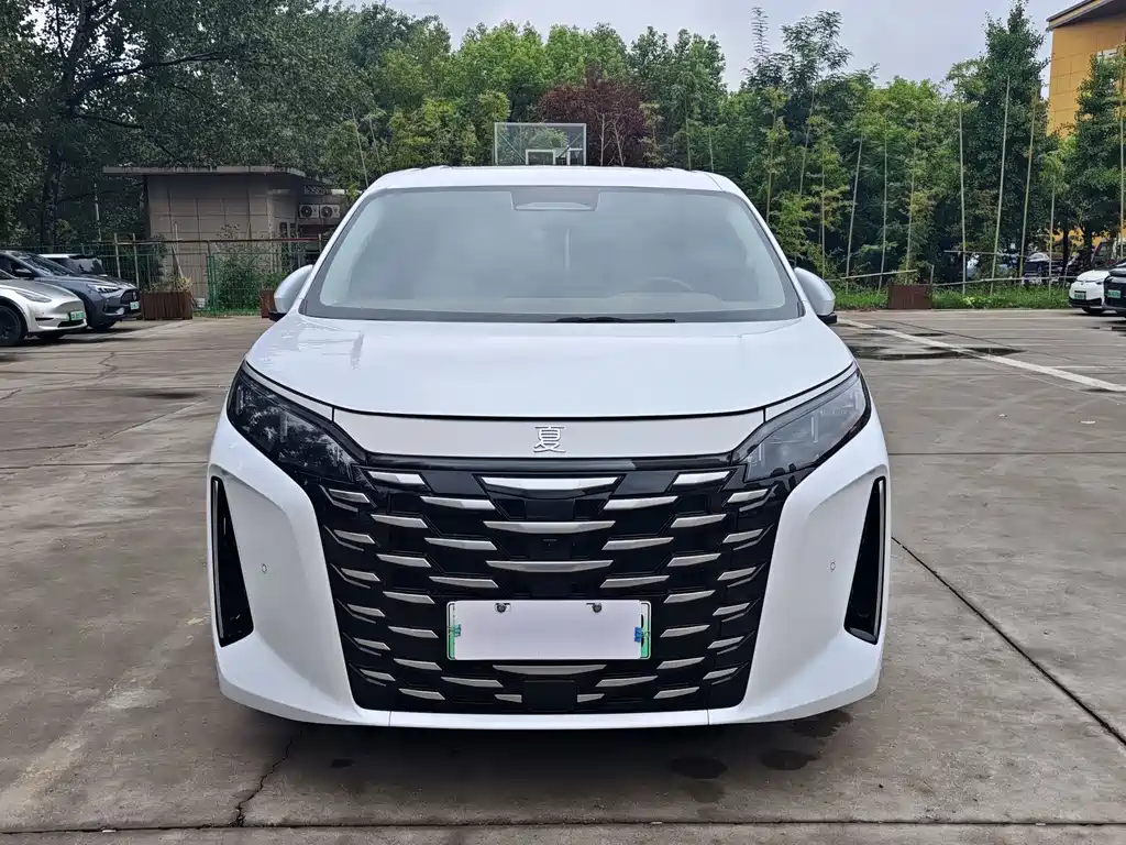 Summer 2025 DM-i 1.5T 100km transcendent type купить на сайте DeffCars
