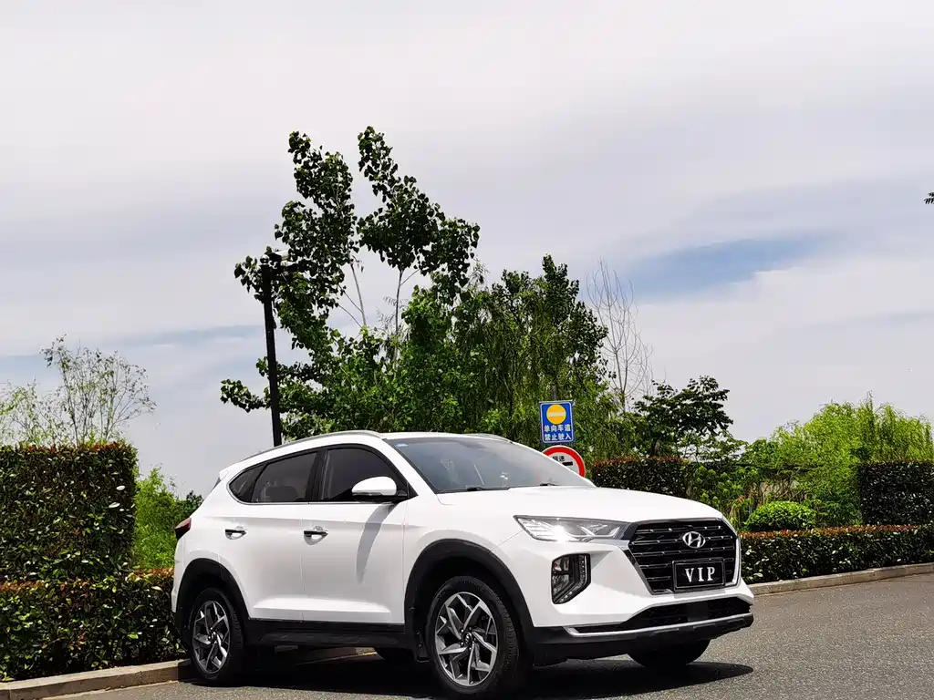 Tucson 2020 280TGDi dual-clutch two-wheel drive intelligent version National V купить на сайте DeffCars
